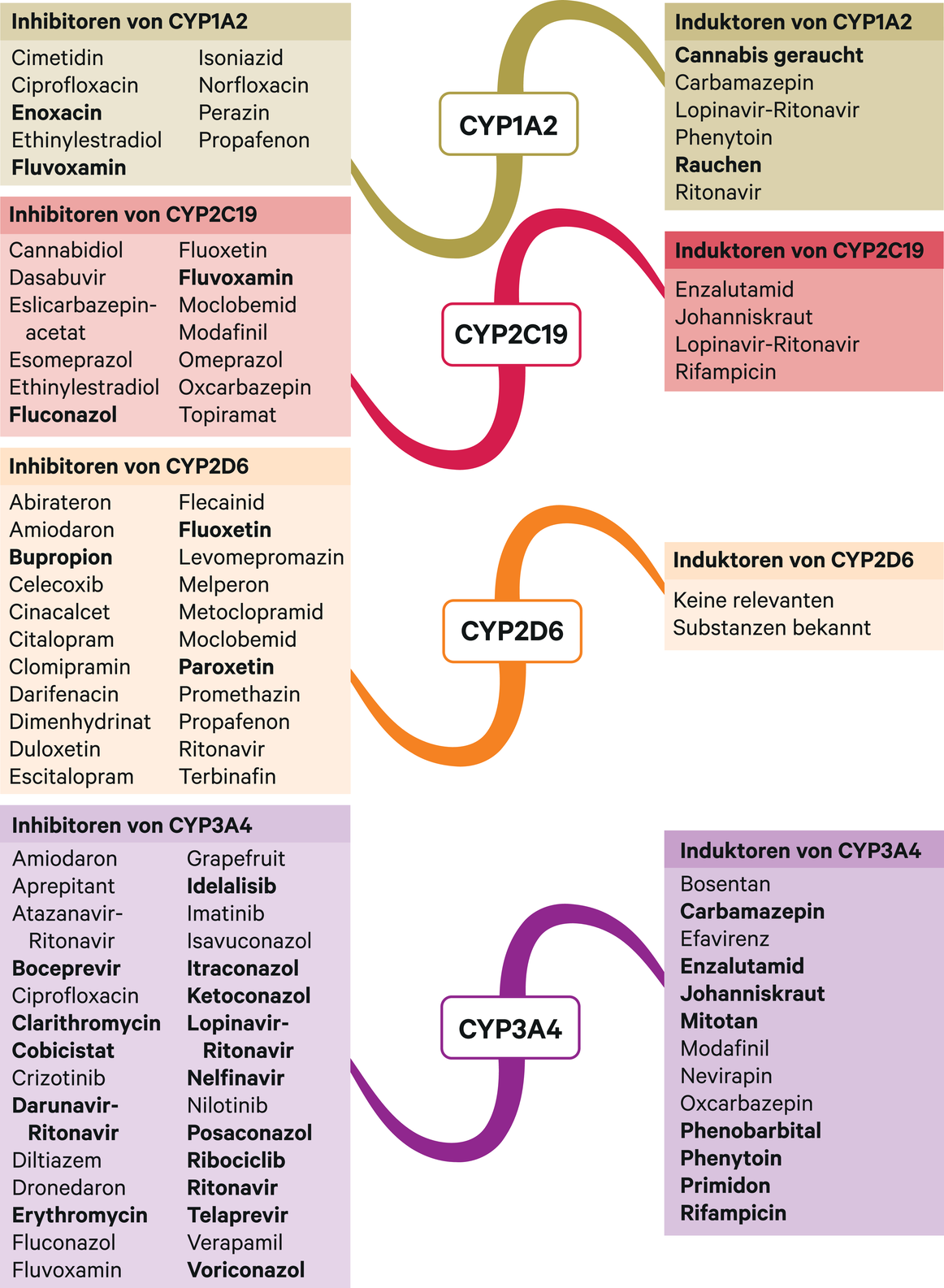 petri_ww_atypischer-antips6_converted_eps-1162x1585.png