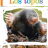 gnagflow